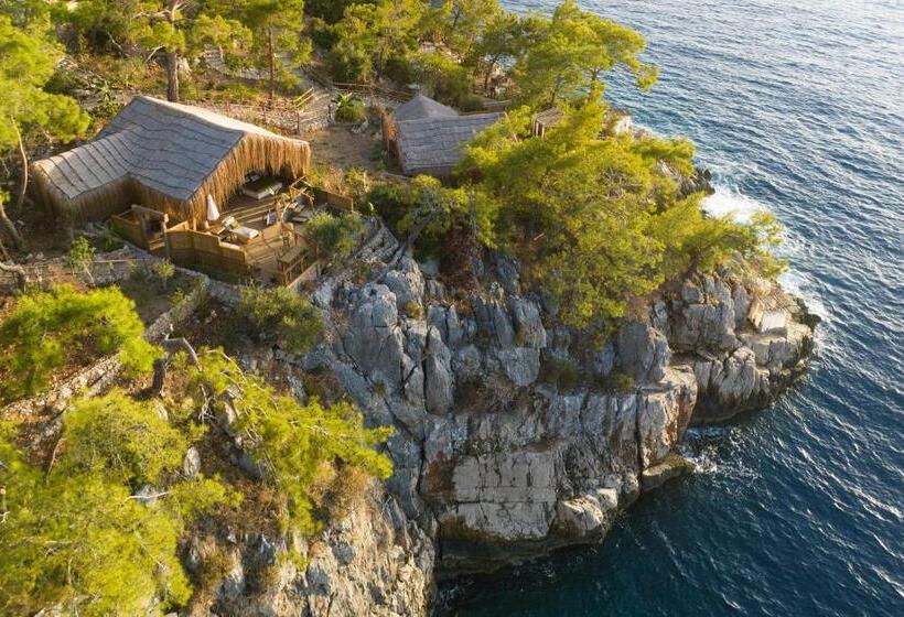 מיטת קינג בסוויטה, Perdue