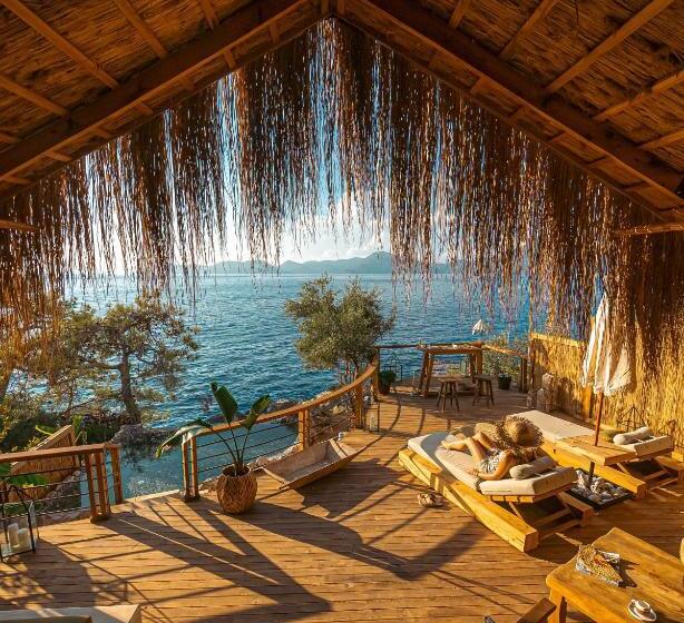 מיטת קינג בסוויטה, Perdue