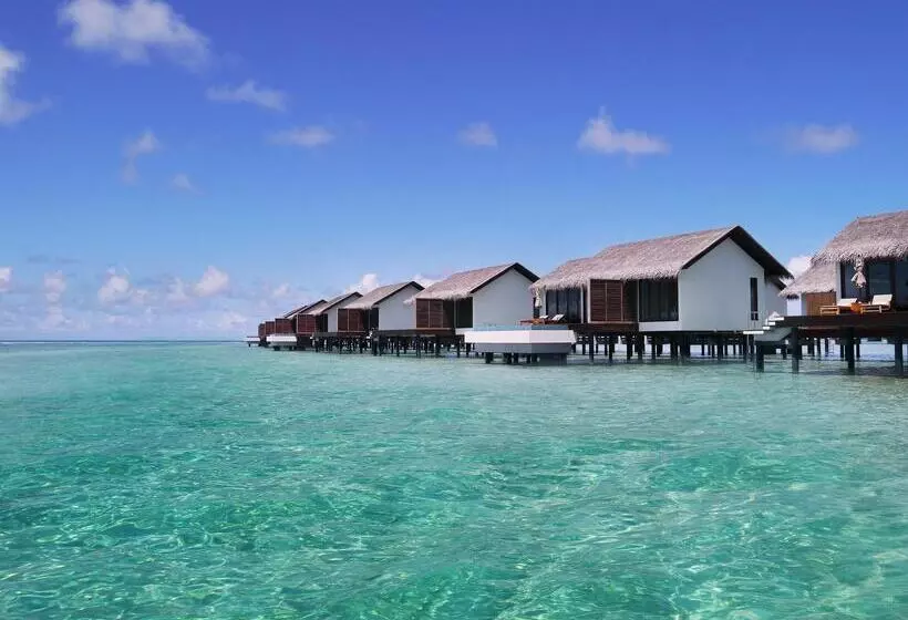ویلای یک اتاق خوابه با استخر شنا, The Residence Maldives
