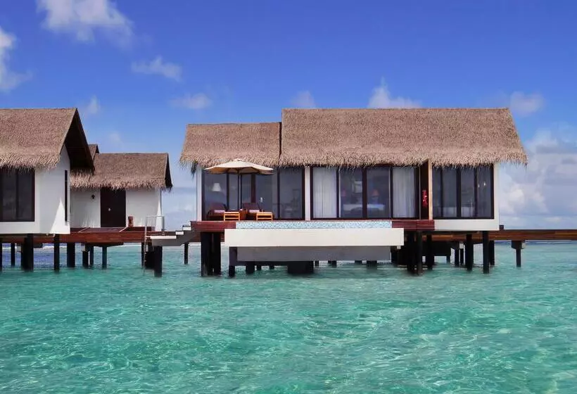 ویلای یک اتاق خوابه با استخر شنا, The Residence Maldives