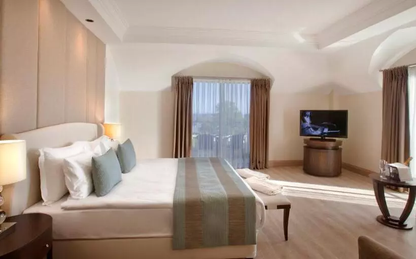 Superior Room Mountain View