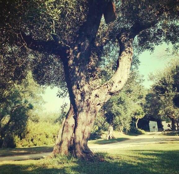 スタンダードトリプルルーム, Agriturismo Massaro Pietro