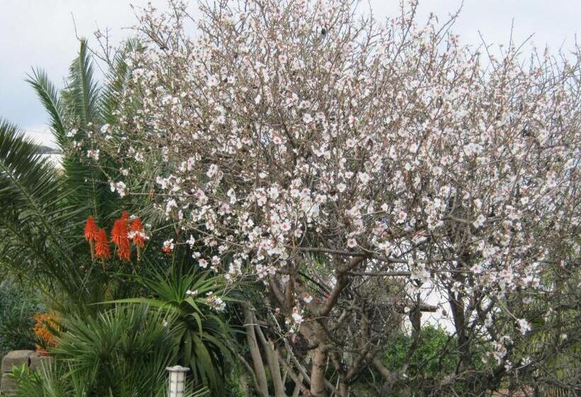جناح مطلّ علي البحر, Resort La Casa Dei Fiori