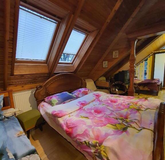 Cameră Familiară, Pas Birute