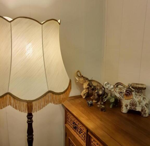 Cameră Standard, Pas Birute