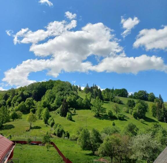 Номер Стандарт, Pensiunea Floare De Bucovina