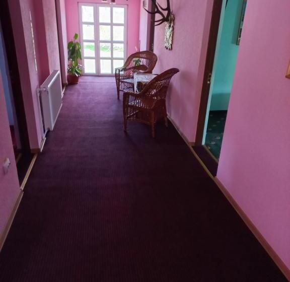 Номер Стандарт, Pensiunea Floare De Bucovina