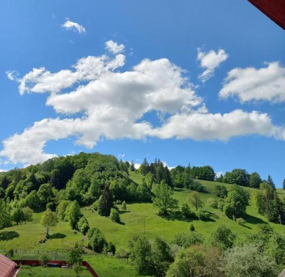Номер Стандарт, Pensiunea Floare De Bucovina