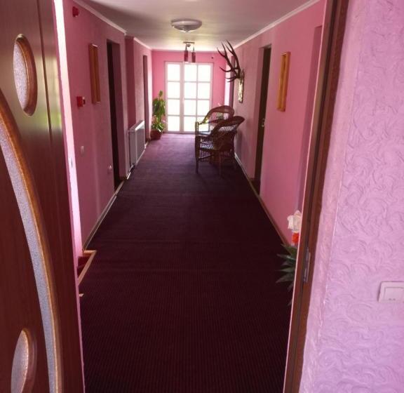 Номер Стандарт, Pensiunea Floare De Bucovina