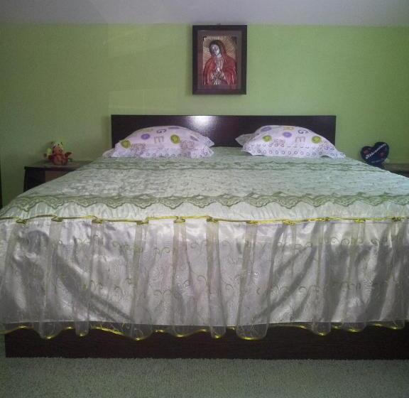 Номер Стандарт Совместная Ванная, Pensiunea Floare De Bucovina