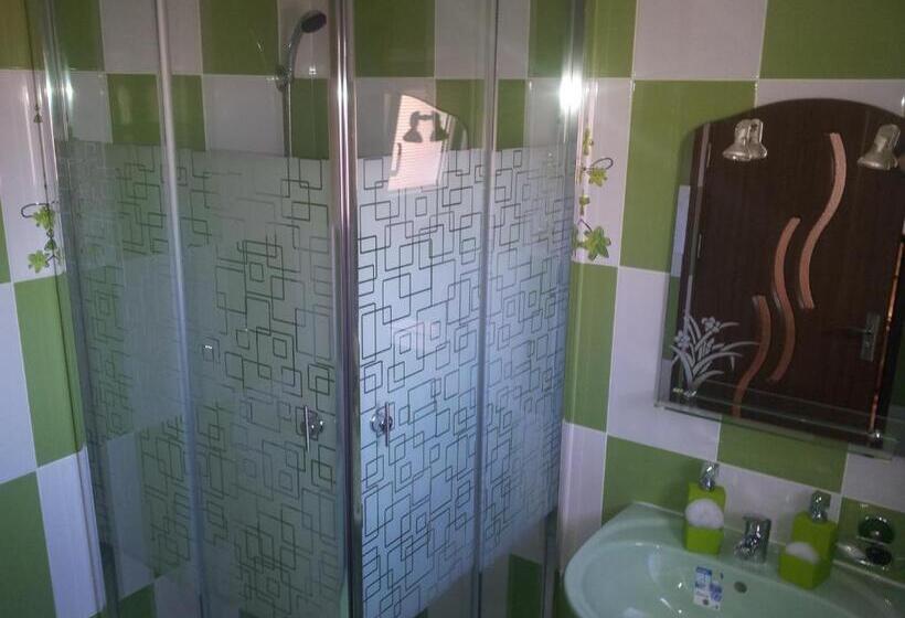 Номер Стандарт Совместная Ванная, Pensiunea Floare De Bucovina