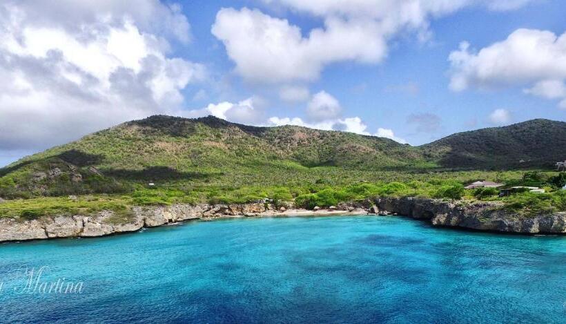 اتاق استاندارد, Turquoise B&b