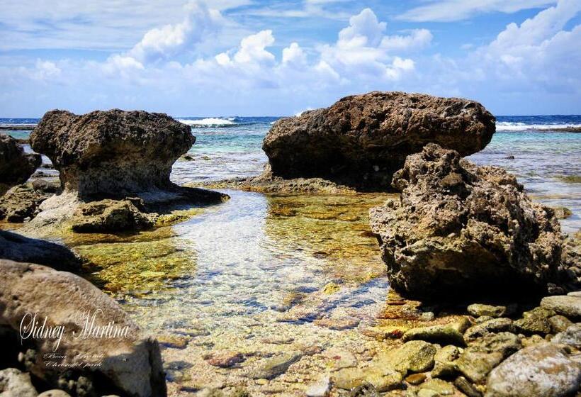 اتاق استاندارد, Turquoise B&b