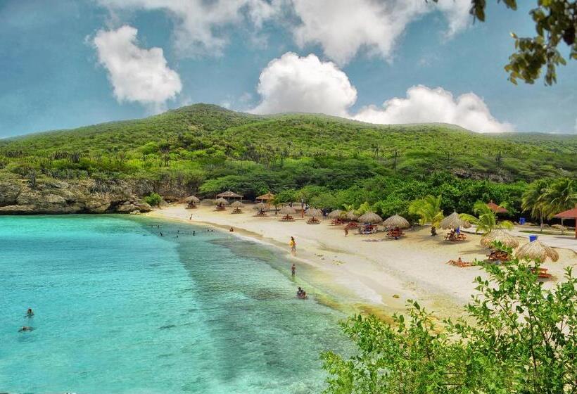 اتاق لوکس, Turquoise B&b