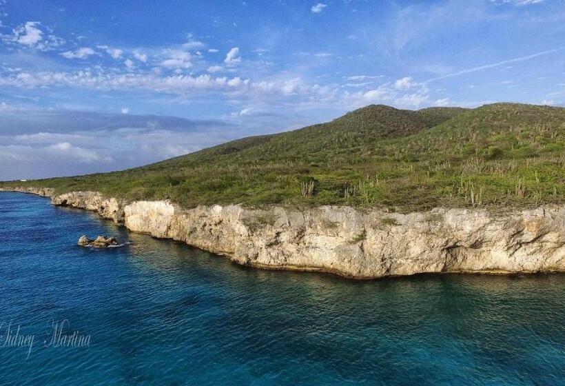 اتاق لوکس, Turquoise B&b