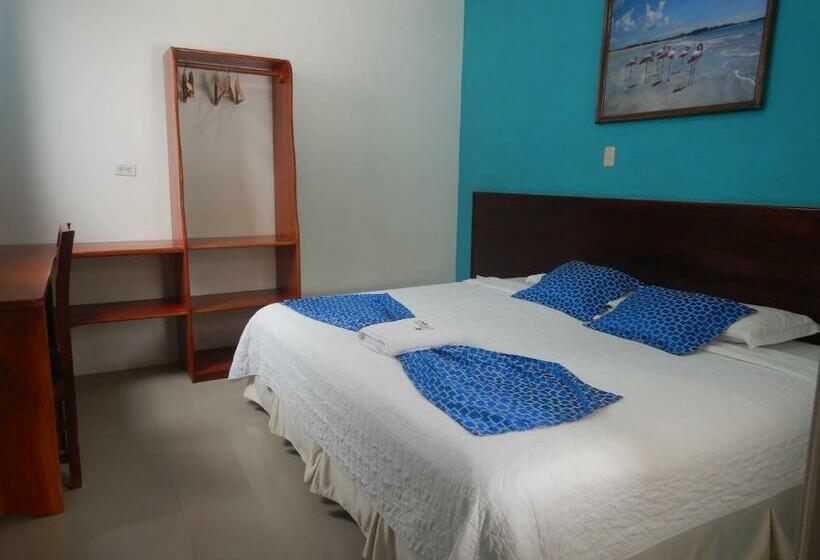 스탠다드 싱글 룸, La Gran Tortuga   ᯤ Starlink