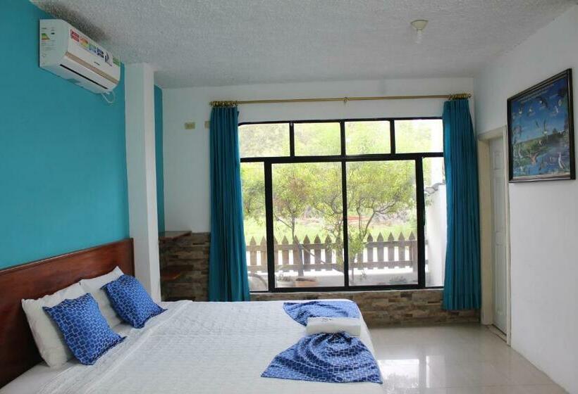 스탠다드 싱글 룸, La Gran Tortuga   ᯤ Starlink