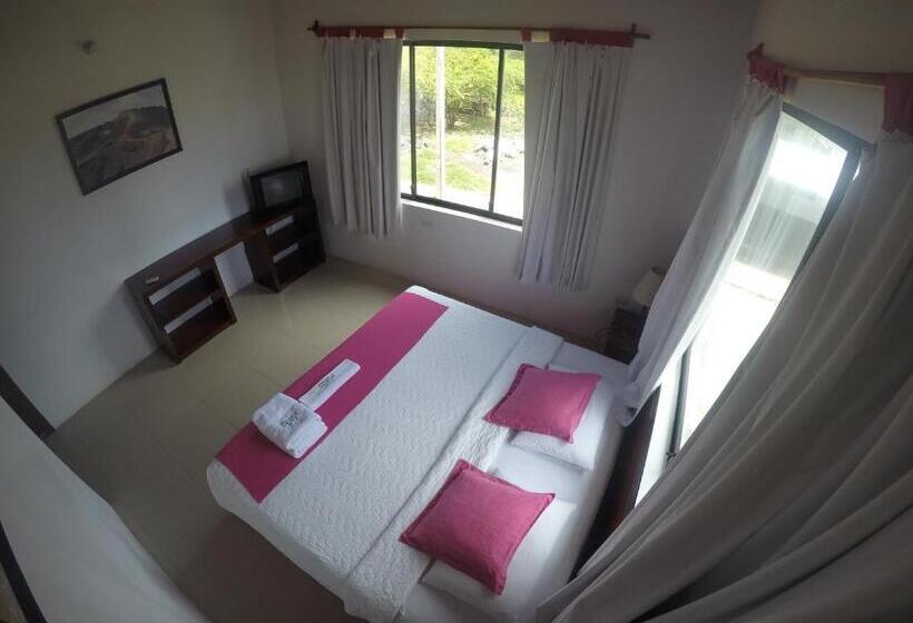 스탠다드 싱글 룸, La Gran Tortuga   ᯤ Starlink