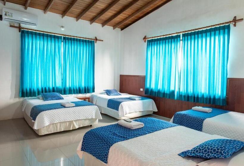 4인용 스탠다드 룸, La Gran Tortuga   ᯤ Starlink