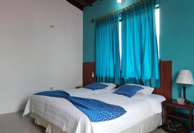 스탠다드 싱글 룸, La Gran Tortuga   ᯤ Starlink