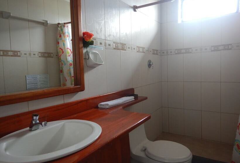 스탠다드 룸, La Gran Tortuga   ᯤ Starlink