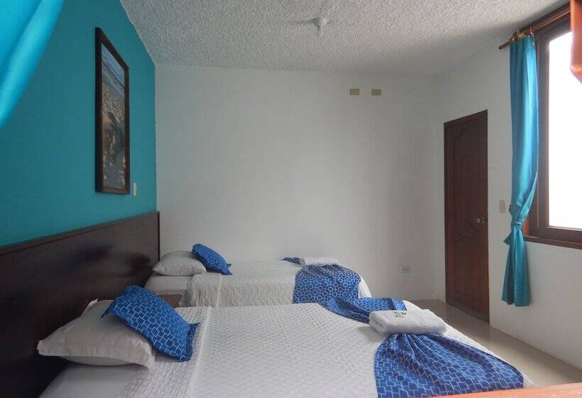 스탠다드 룸, La Gran Tortuga   ᯤ Starlink