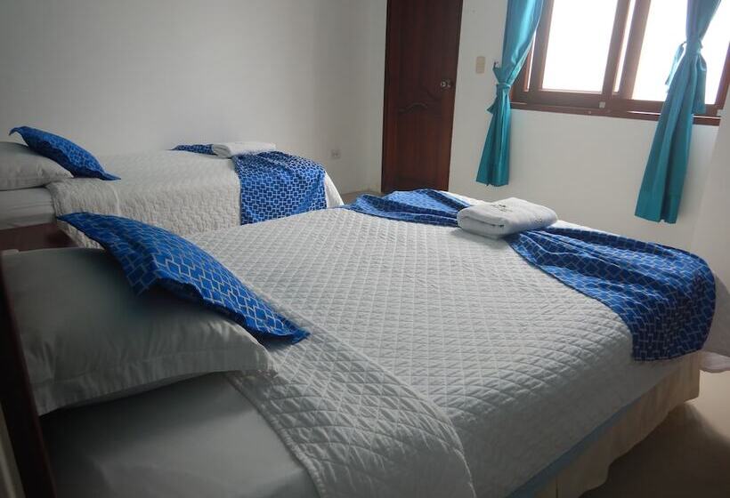 스탠다드 룸, La Gran Tortuga   ᯤ Starlink