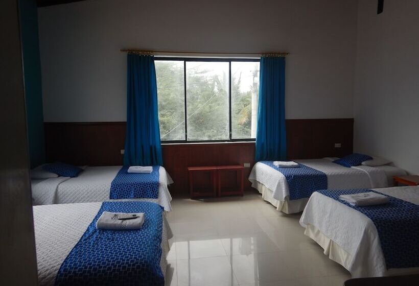 4인용 스탠다드 룸, La Gran Tortuga   ᯤ Starlink