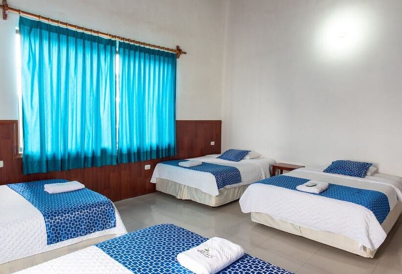 4인용 스탠다드 룸, La Gran Tortuga   ᯤ Starlink