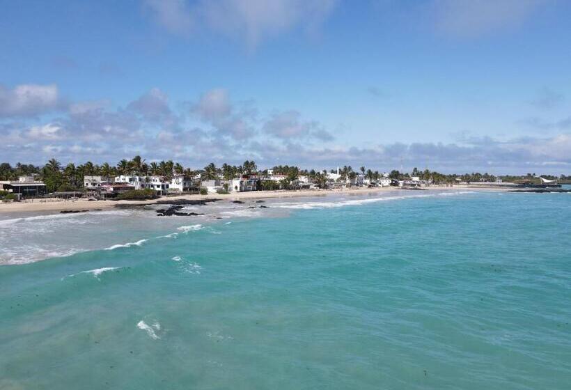 스탠다드 싱글 룸, La Gran Tortuga   ᯤ Starlink