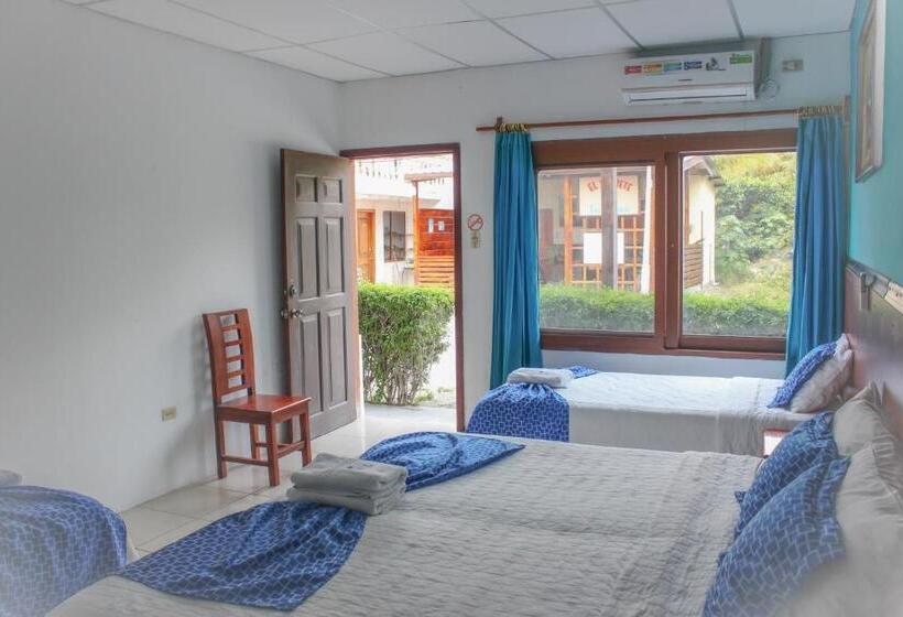 스탠다드 트리플 룸, La Gran Tortuga   ᯤ Starlink