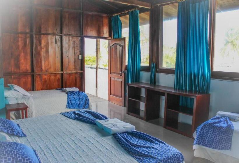 스탠다드 트리플 룸, La Gran Tortuga   ᯤ Starlink