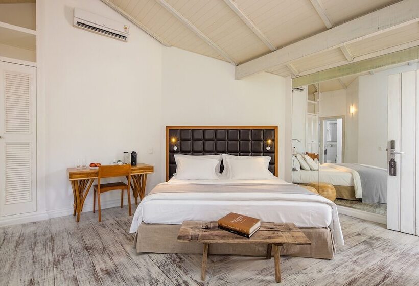 سوییت, Felissimo Exclusive