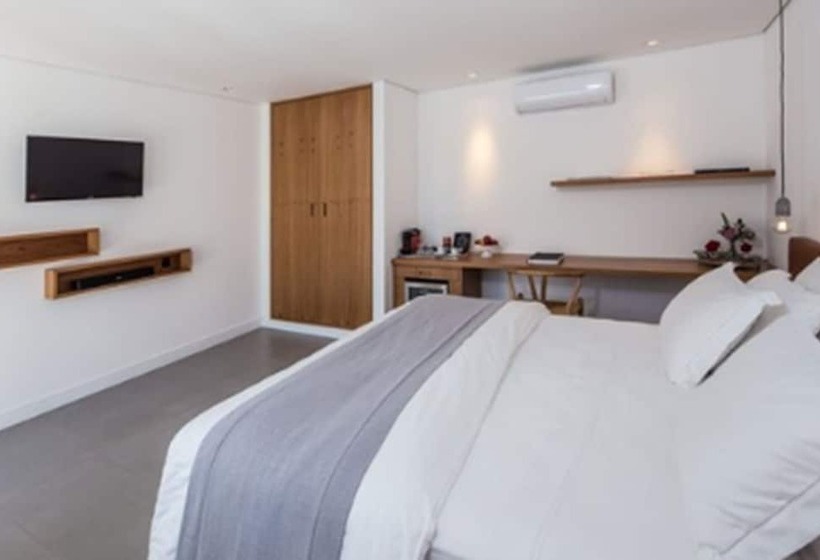 سوییت, Felissimo Exclusive