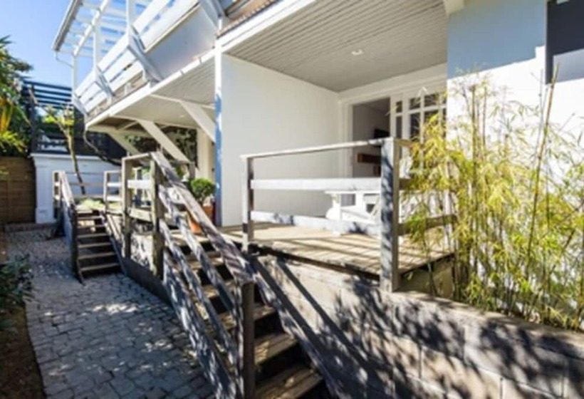 سوییت, Felissimo Exclusive