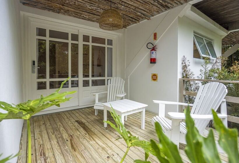 سوییت, Felissimo Exclusive