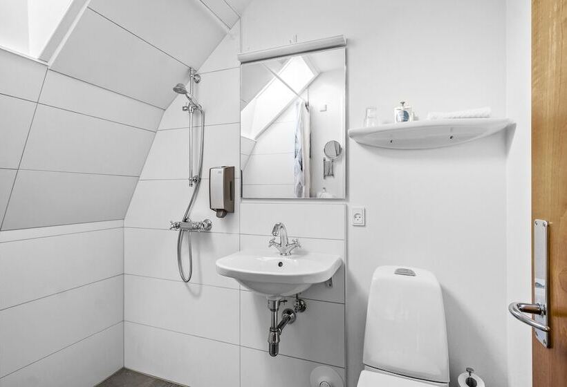 标准单人间, Gl Skovridergaard