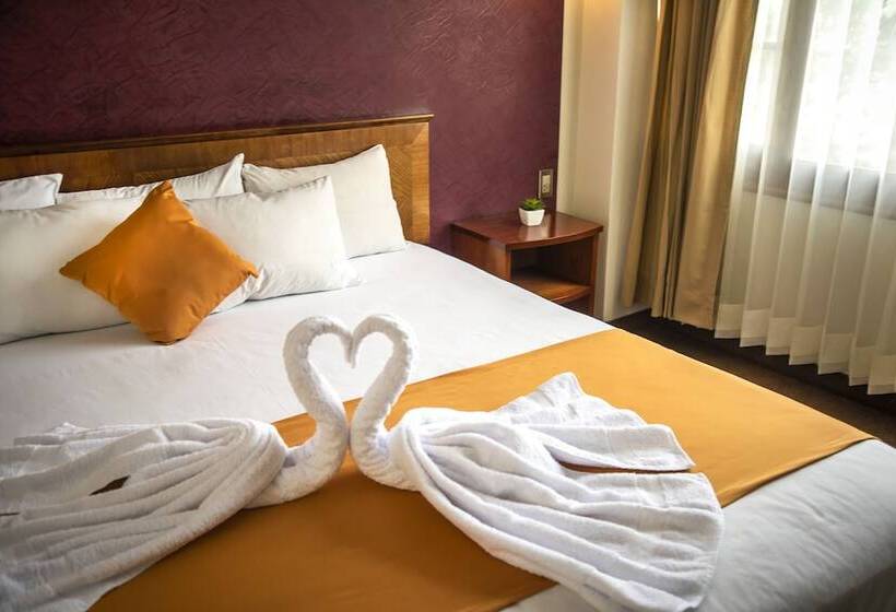 标准间, Maison Du Solei