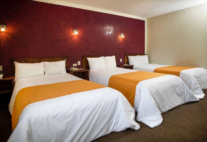 标准三人间, Maison Du Solei