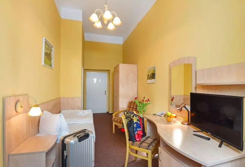 Comfort Single Room