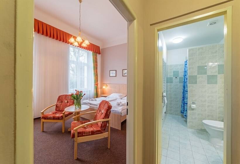 اتاق استاندارد, Metropol