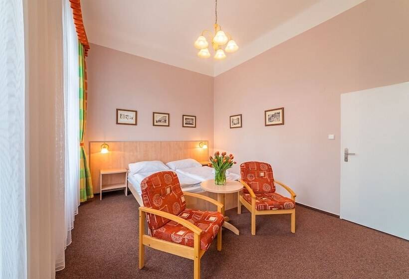 اتاق استاندارد, Metropol