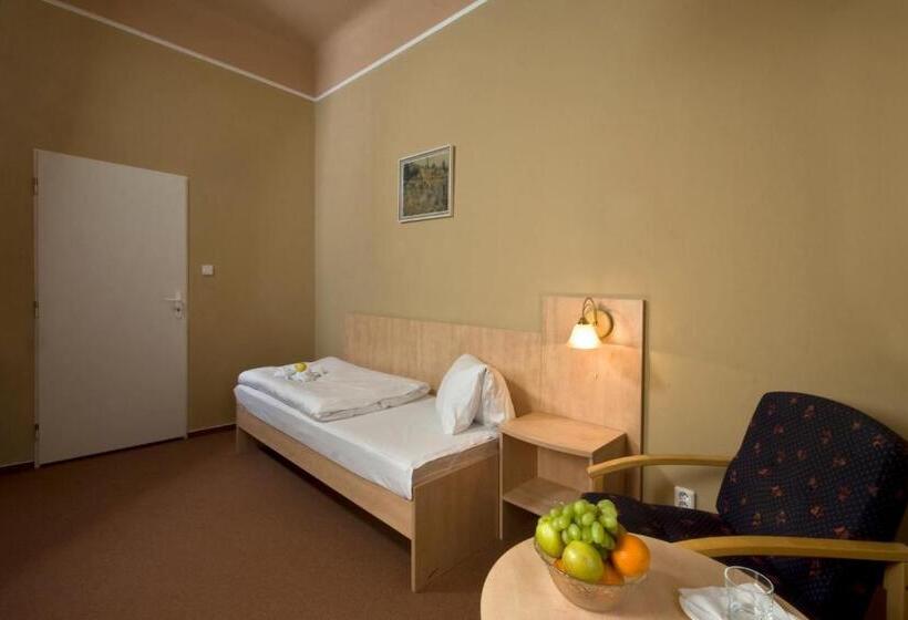 اتاق استاندارد یک نفره, Metropol