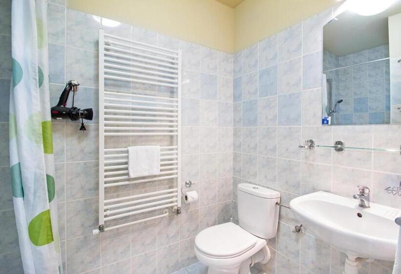 اتاق استاندارد, Metropol