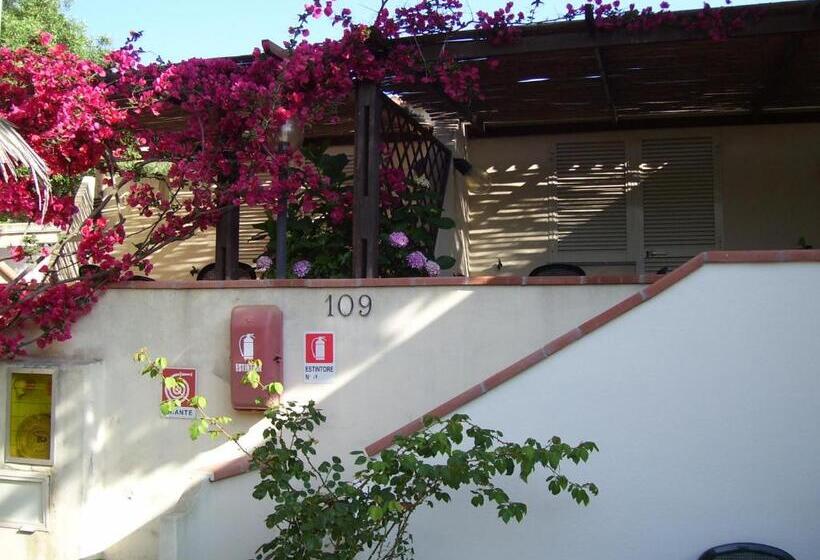 חדר סטודיו סטנדרד, Nido D'aquila