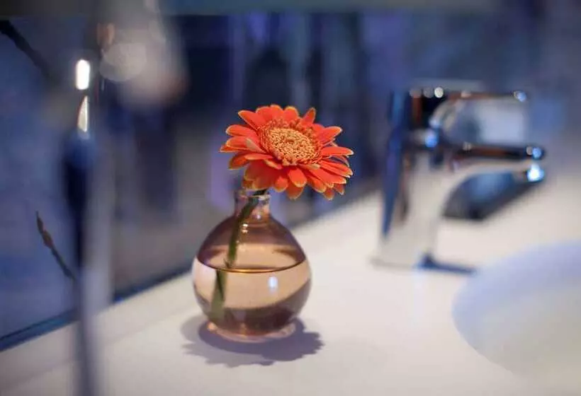 اتاق استاندارد, Radisson Blu Riverside