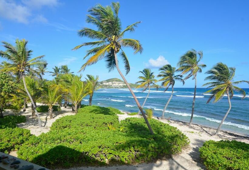 اتاق استاندارد با تخت دو نفره بزرگ, The Palms At Pelican Cove