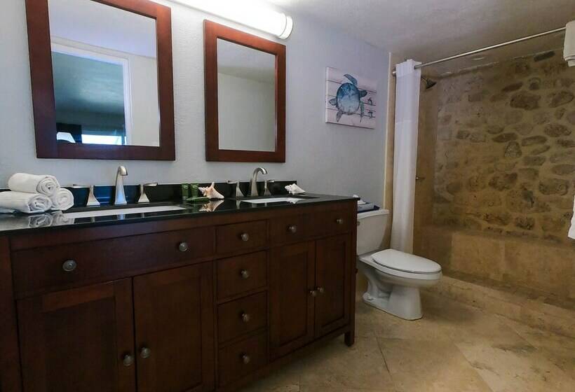 اتاق استاندارد با تخت دو نفره بزرگ, The Palms At Pelican Cove