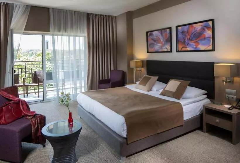 اتاق استاندارد, Mirotel Resort And Spa