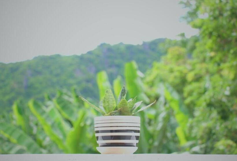 اتاق استاندارد سه تخته با بالکن, Loren Homestay